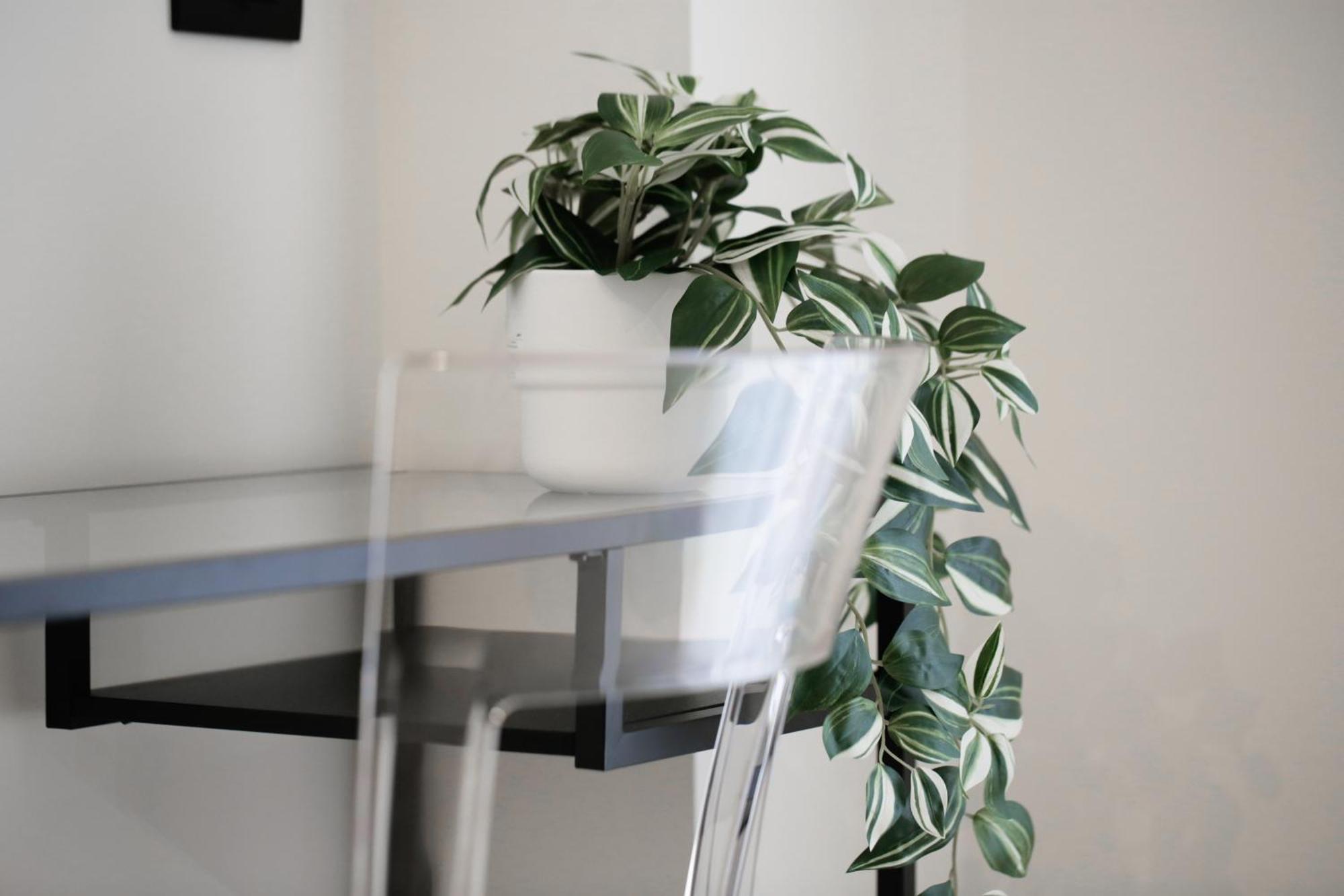 New Modern Flat 10 Minutes Walk From Central Station 米兰 外观 照片